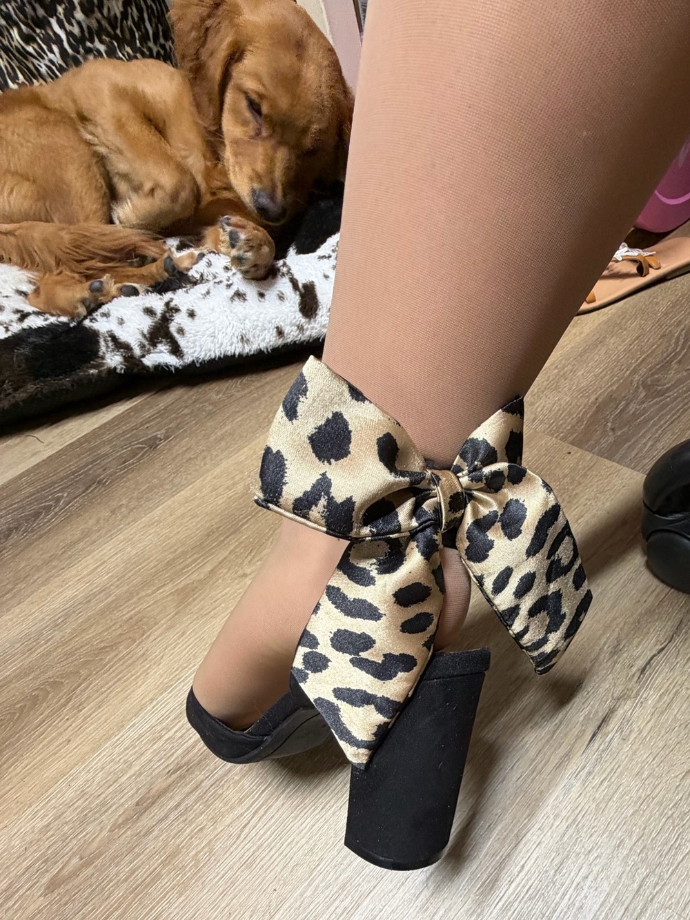 Leopard Bow Accent Black Block Heel Pumps - Women's